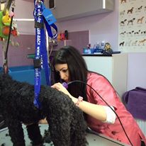Curs Coafor Canin Cod COR  516402